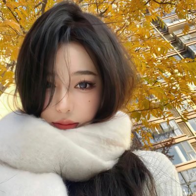 瑞士短暂停留 海报