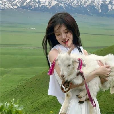 惊悚诡计 海报